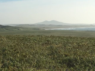 Saint Paul Island