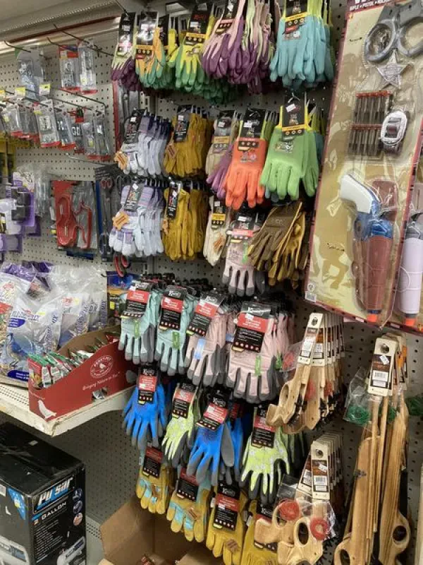 Edna Auto Supply - photo 2