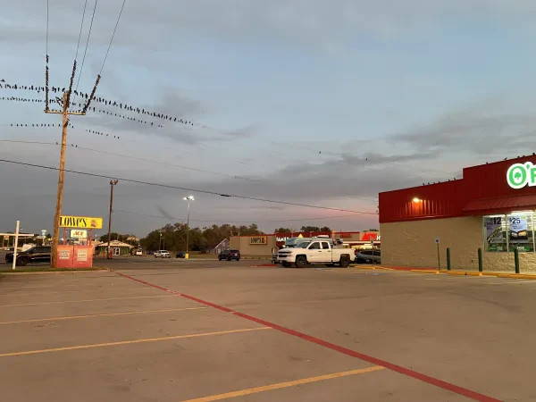 O'Reilly Auto Parts - photo 3