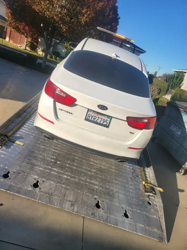 Arzuaga Towing - photo 4