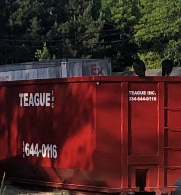 Teague Inc - photo 3