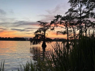 Lake Bruin