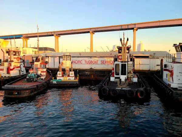 Pacific Maritime Group - photo 2