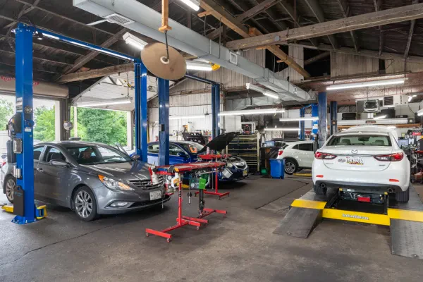Bransfield Motor Company - photo 2
