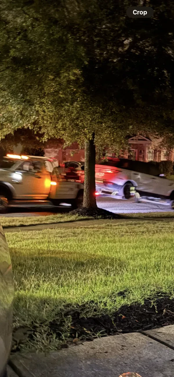 Warrior Towing & Recovery LLC - photo 4