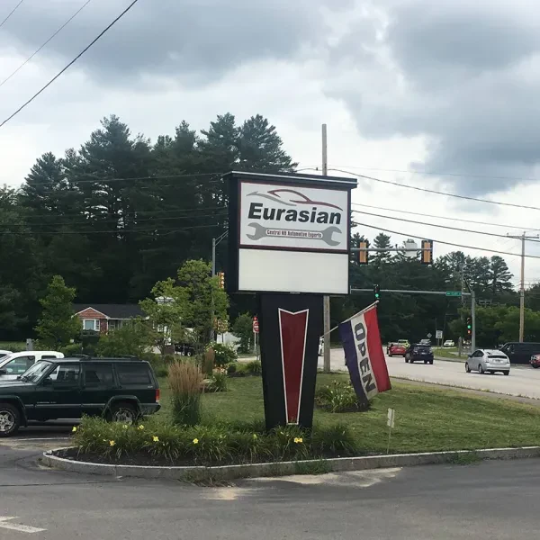 Eurasian Autoworks - photo 2