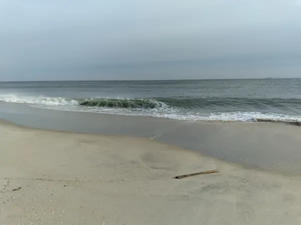 Jones Beach Field 6 - photo 3