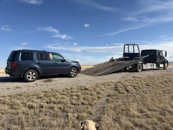 M Towing and Fleet Services - photo 3