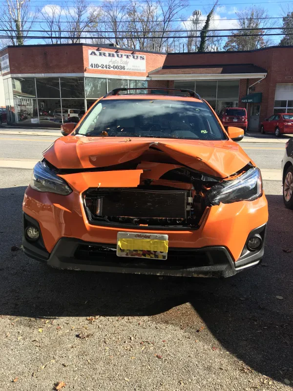 Arbutus Auto Body - photo 3