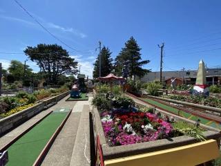 Novelty Golf & Games