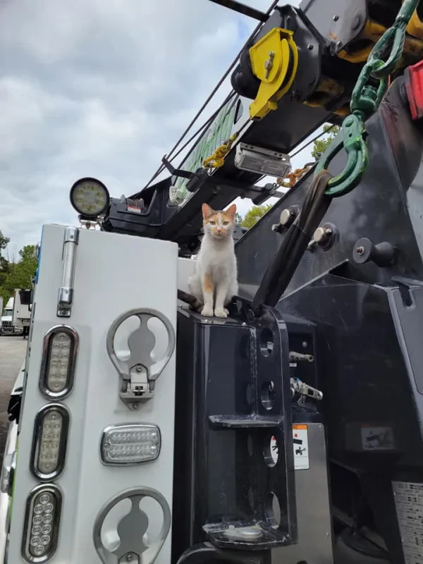 Hillbilly Truck Repair & Towing - photo 4