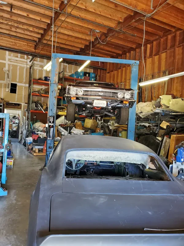 Super Muscle Parts - photo 4