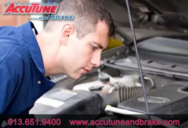 Accutune and Brake - photo 2