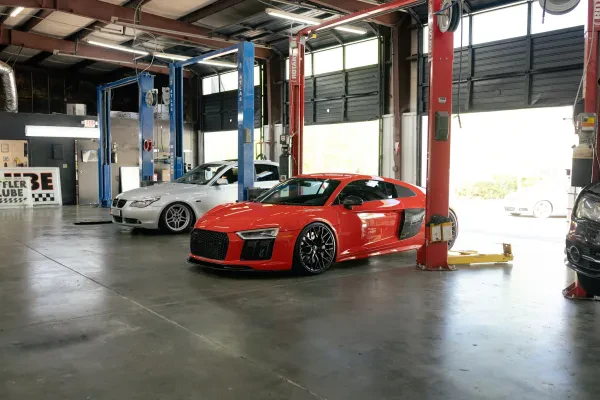 Eurofed Automotive - Buckhead - photo 2