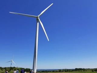 Fenner Wind Farm