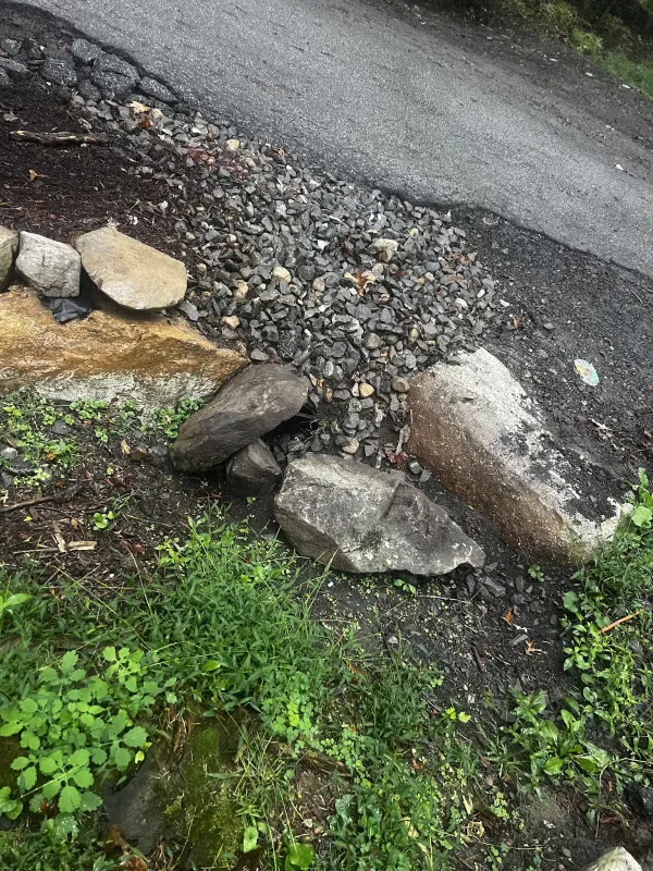 COUNTY WASTE - EVERGREEN - photo 4