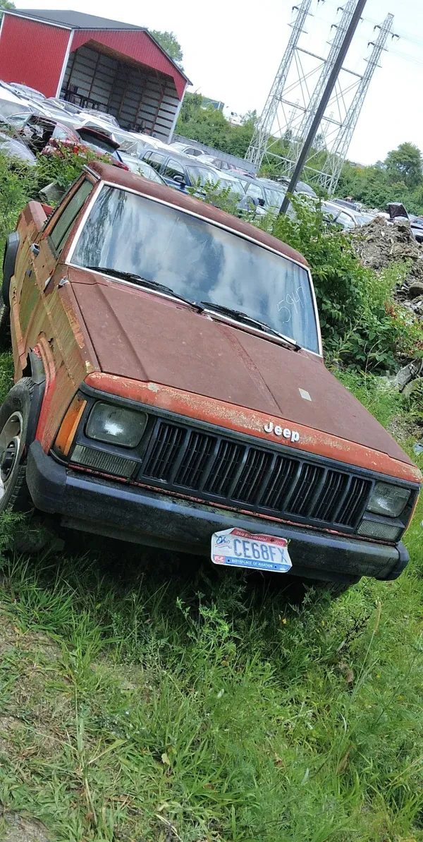 Just Junk It - photo 4