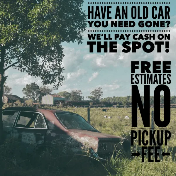 Don's Auto Recycling Inc - photo 3