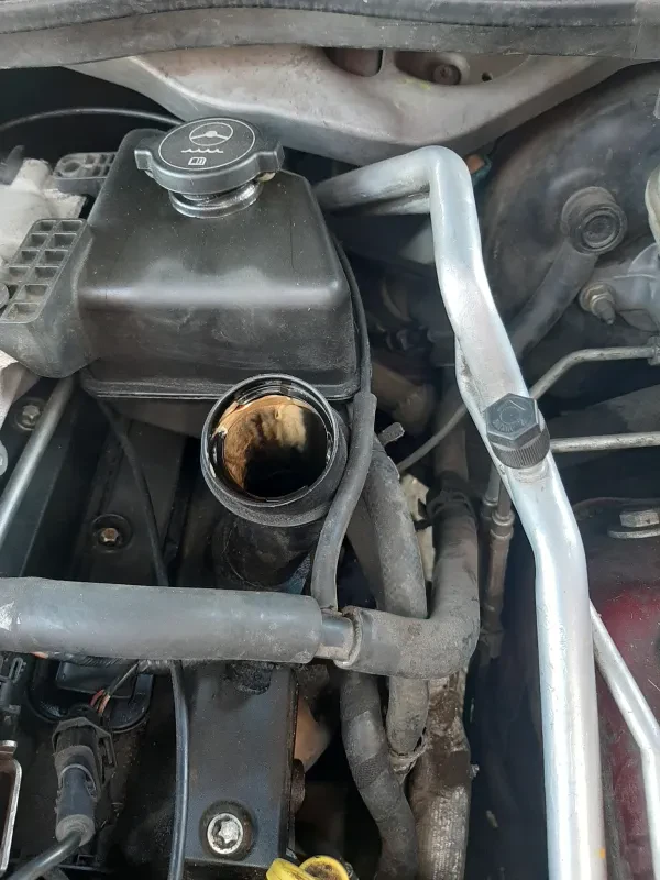 O'Reilly Auto Parts - photo 4