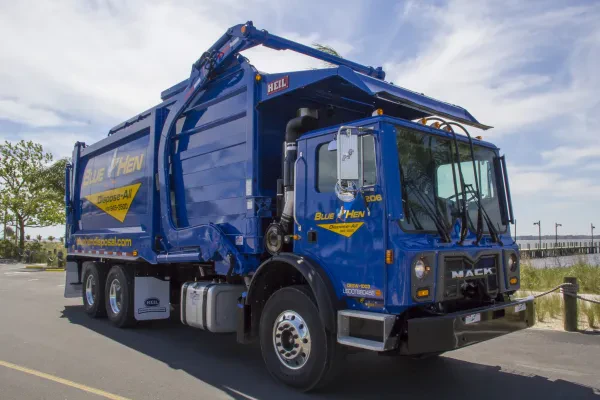 Blue Hen Dispose-All - photo 3