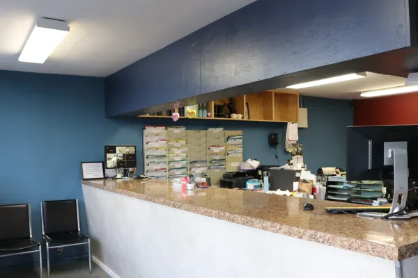 Seattle Transmission & Auto Repair - photo 3