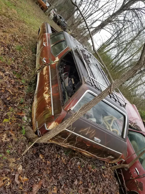 Sundell Auto Specialties - photo 2