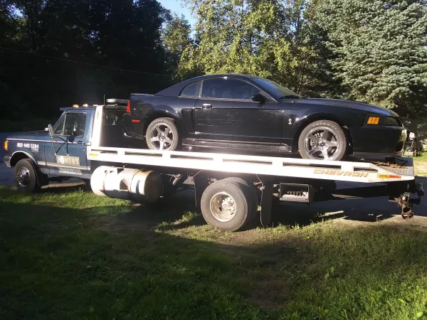 Homers Transport, LLC - photo 4