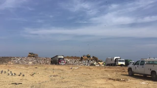 Prince George's County Landfill