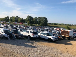 Terry's Auto Sales/Hwy 29 Auto Parts