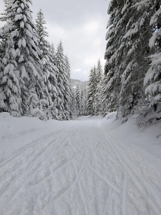 Cabin Creek Sno-Park