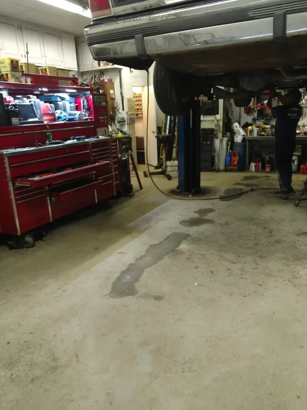 Bisson's Repair - photo 2