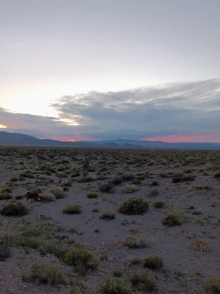 Silver Peak Lithium Mine