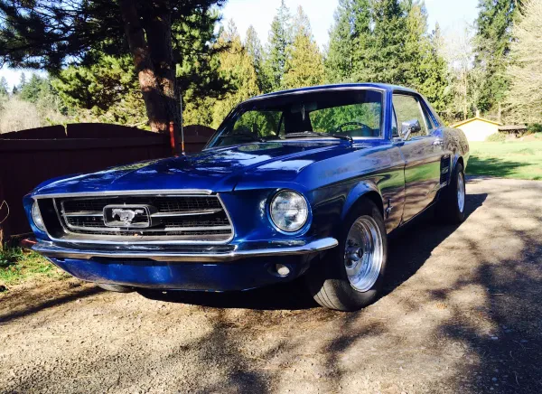 Winlock Auto Supply Inc. - photo 4