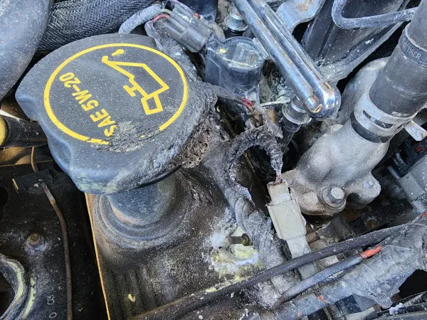 NAPA Auto Parts - Clintons Automotive - photo 4