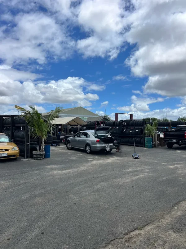 Auto Cats Hawaii - photo 2