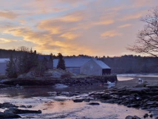 Storer Lumber