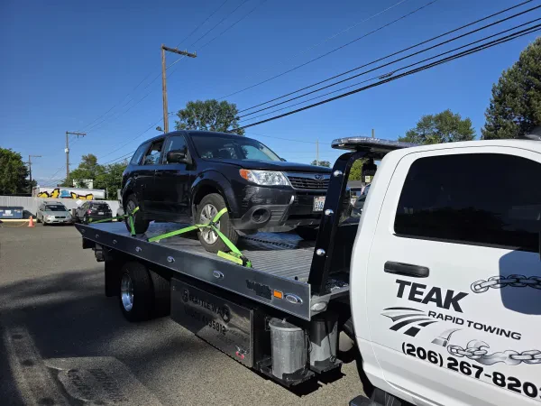 Teak Rapid Towing - photo 3