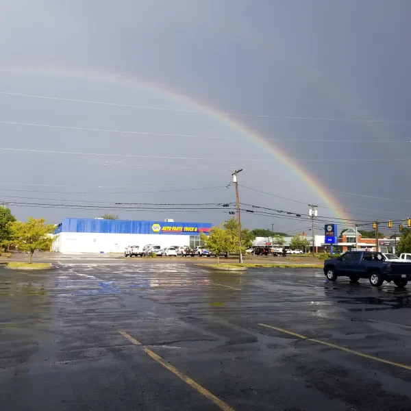 NAPA Auto Parts - photo 3