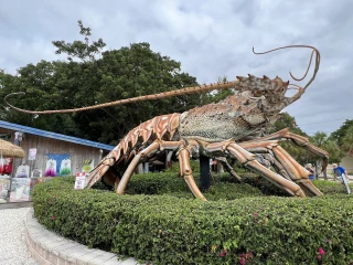 Plantation Key