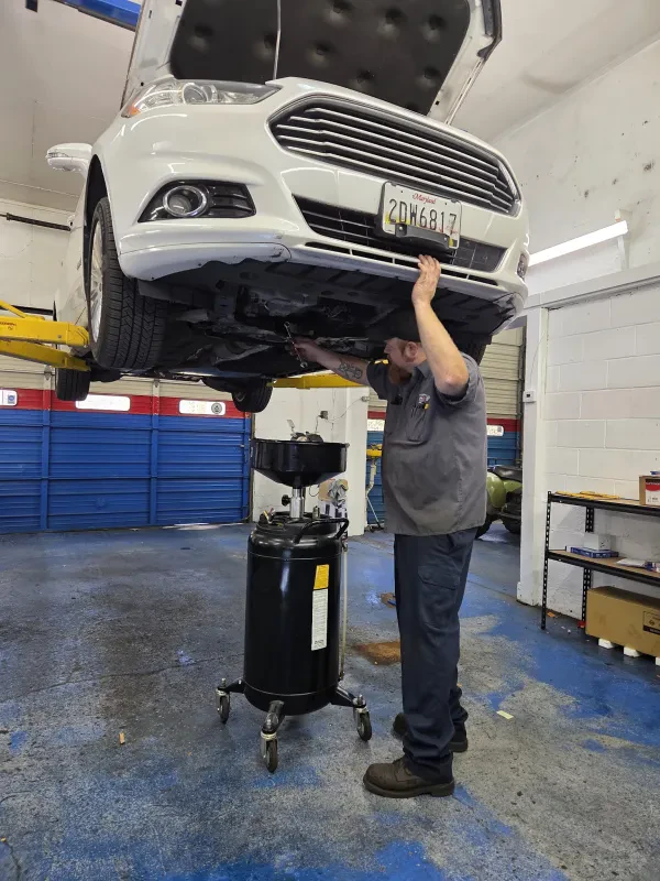 Thoroughbred Auto Care - photo 3