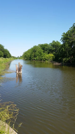 Green River