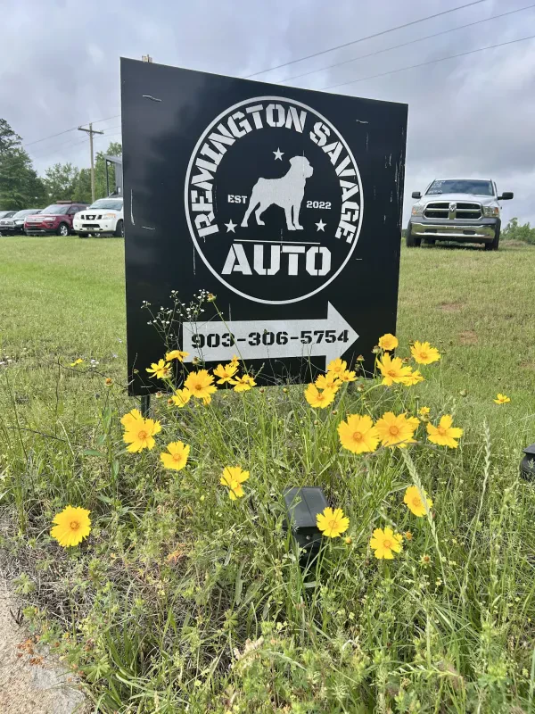 Remington Savage Auto - photo 3