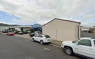 V N Foreign Car Repair