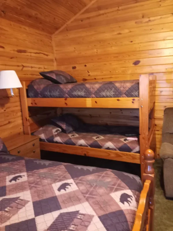 Big Cedar Cabins & RV Park - photo 2