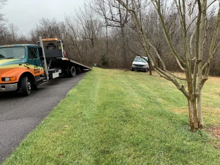 Running bear towing and collision