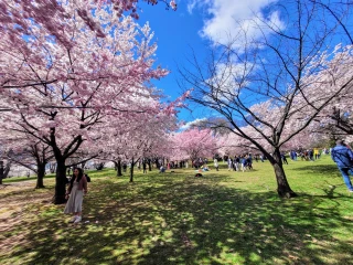 Branch Brook Park