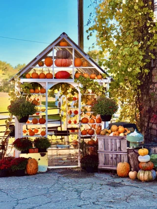 Tiashoke: Farm, Store & More