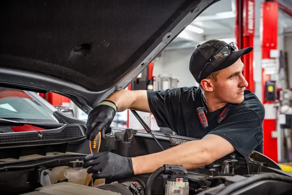 Paul Campanella's Auto Centers - photo 3