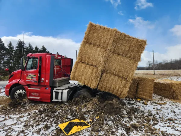Hutch's Towing & Recovery Services - photo 2