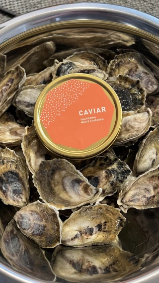 Island Creek Oysters